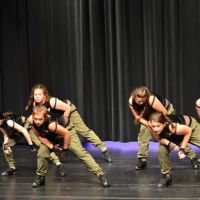 Fine-Hammond Dance Studio ico