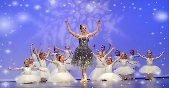 Fine-Hammond Dance Studio Picture 2