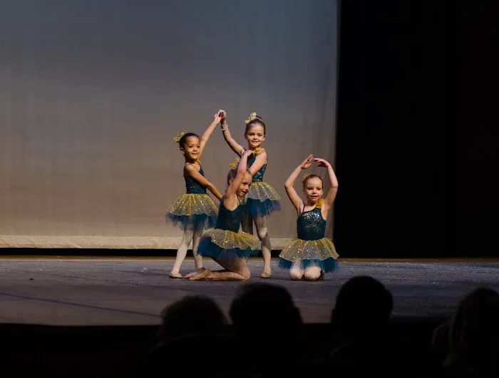 Greenleaf Performing Arts Academy - Cedar Creek Picture 4
