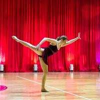 Denise's Dance Academy ico