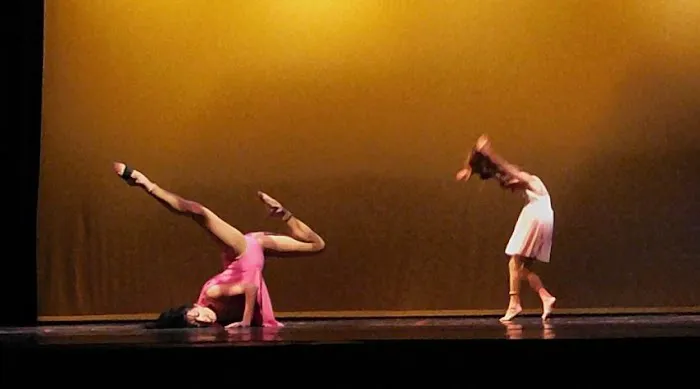 Dance Theatre Workshop Picture 3