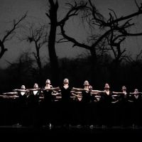 Gurukul Dance Company ico