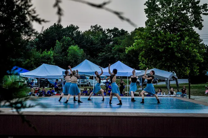 Gurukul Dance Company Picture 7