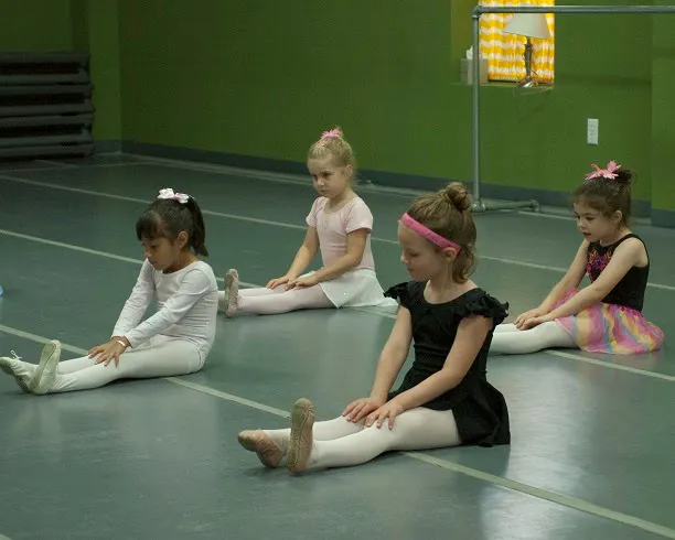 Luzicka Ballet Picture 1