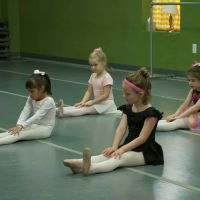 Luzicka Ballet ico