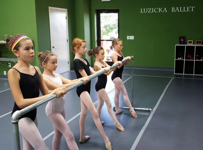 Luzicka Ballet Picture 5