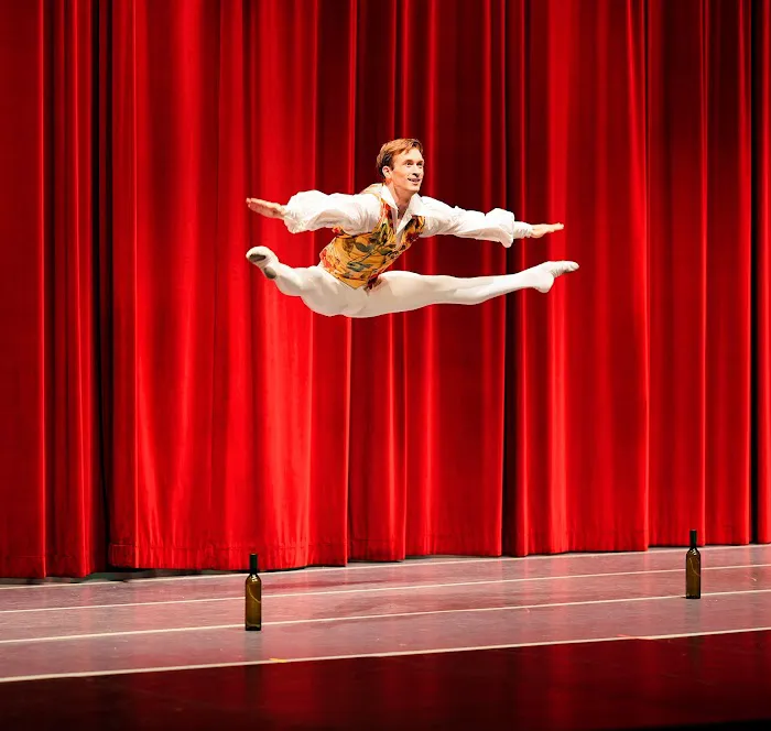 Luzicka Ballet Picture 10