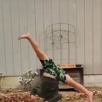 Reign Dance Studios ico