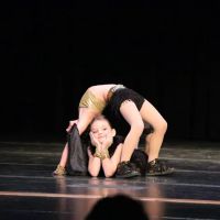 Brees Dance Academy ico