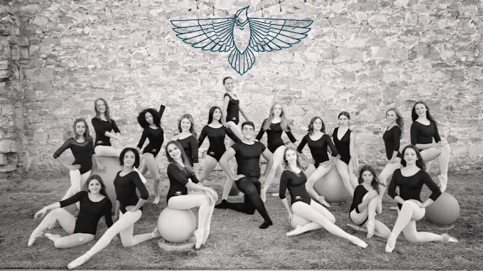 Kansas Ballet Academy Picture 2