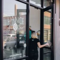 Dance Fit Flow ico