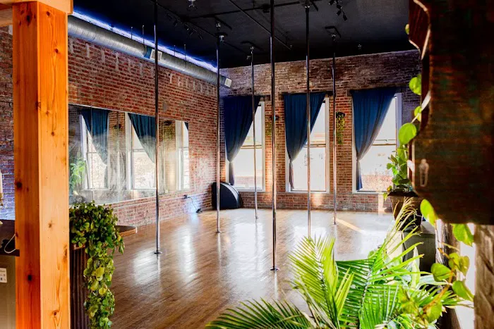 Alchemy Space Pole and Fitness Picture 2