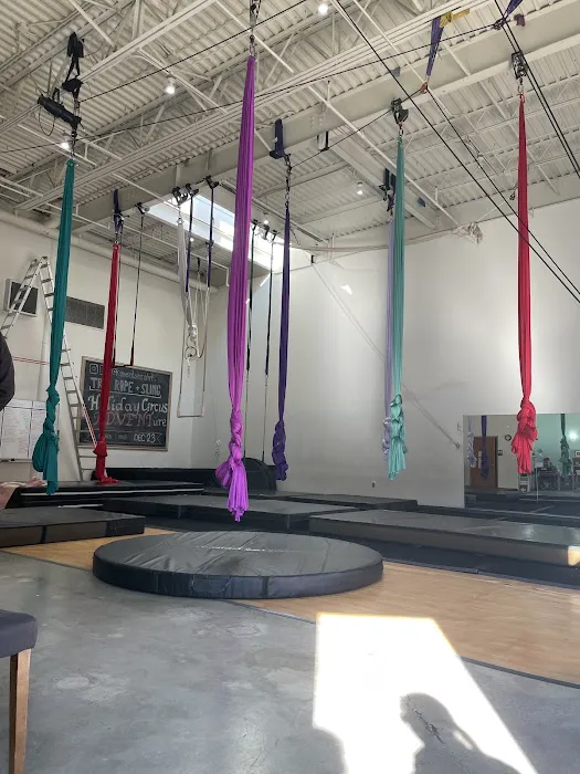 Kansas City Aerial Arts Picture 9