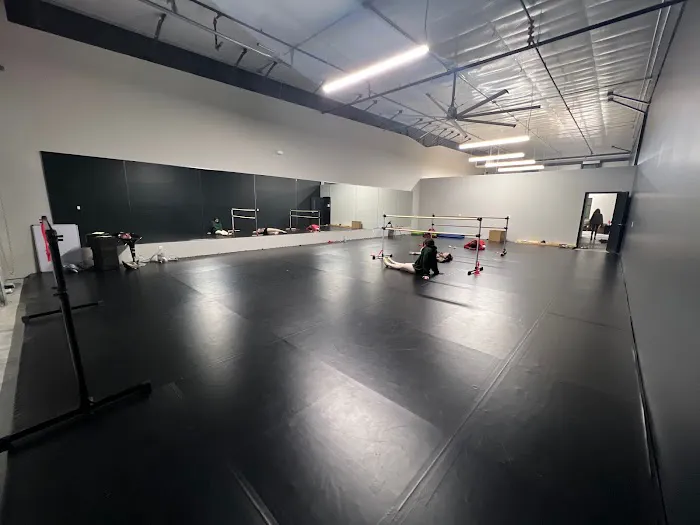 Cloud Nine Aerial Arts Picture 2