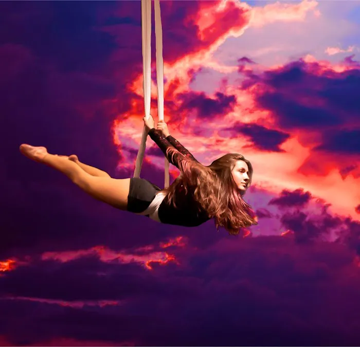 Cloud Nine Aerial Arts Picture 7