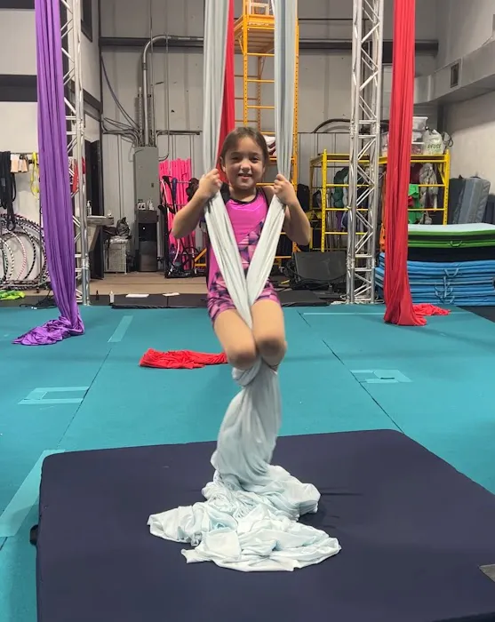 Cloud Nine Aerial Arts Picture 9
