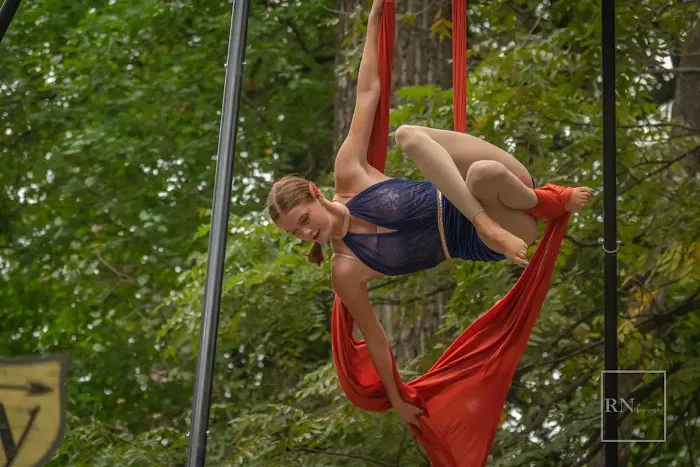 Cloud Nine Aerial Arts Picture 8