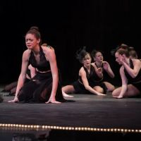 Apex Dance Academy ico