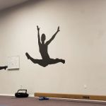 Shapes Dance and Acro L.L.C.