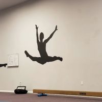 Shapes Dance and Acro L.L.C. ico