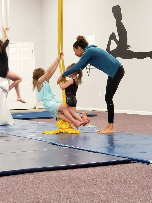 Shapes Dance and Acro L.L.C. Picture 8