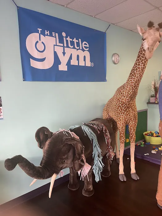 The Little Gym of SE Tulsa Picture 5