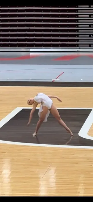 Art in Motion Inc Picture 1