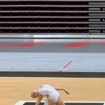 Art in Motion Inc