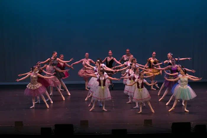 Dance Dynamics Picture 3