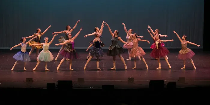 Dance Dynamics Picture 5