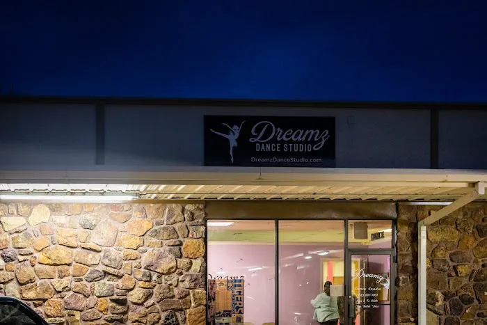 Dreamz Dance Studio Picture 2