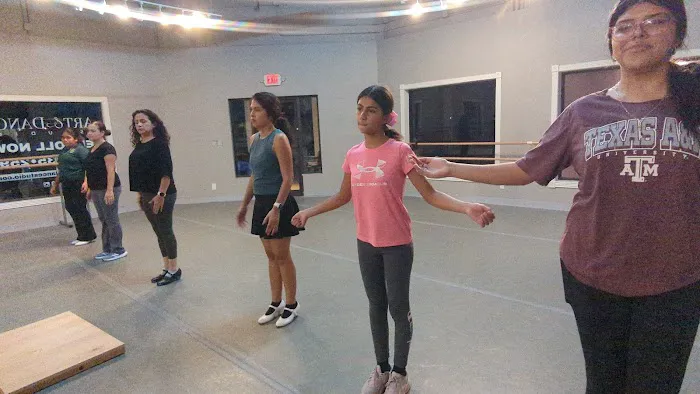 Art & Dance Studio Picture 5