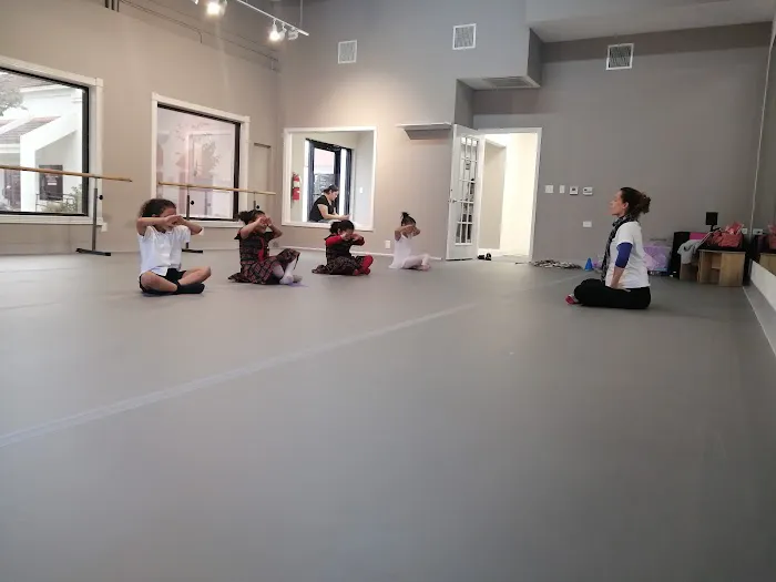 Art & Dance Studio Picture 4