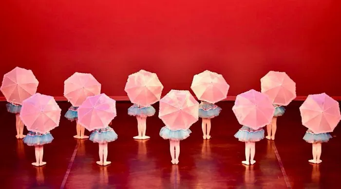 Premiere Ballet Academy Picture 5