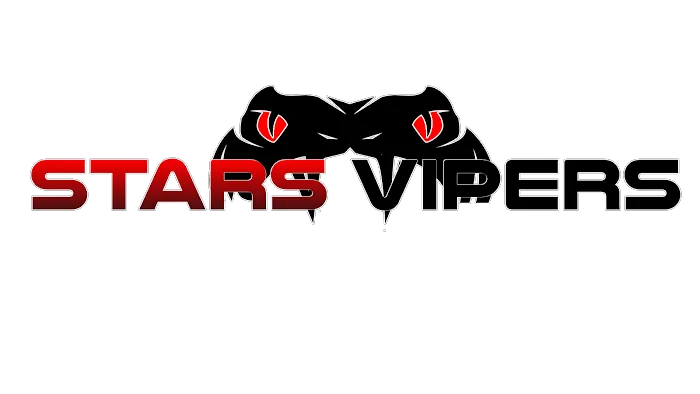 Stars Vipers Cheer & Tumbling Picture 8