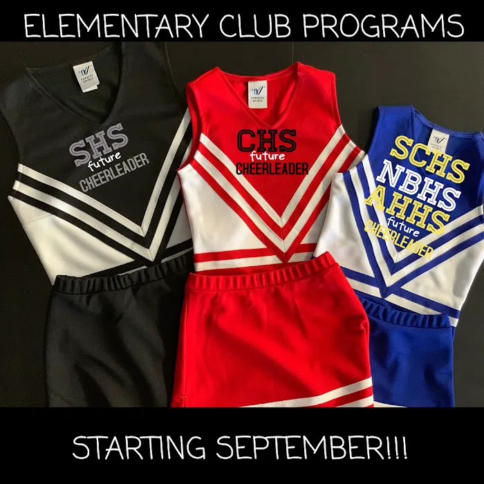 Stars Vipers Cheer & Tumbling Picture 6