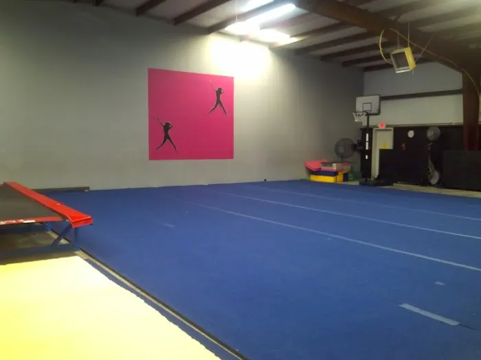 SDC Studio of Dance and Cheer Picture 6