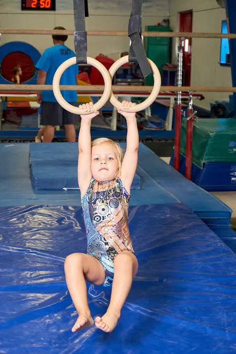 J & R Gymnastics Picture 4