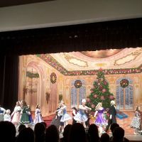 School Of Classical Ballet and Dance ico