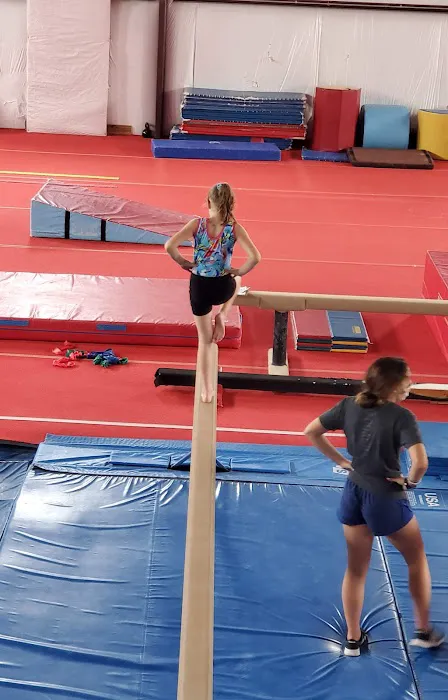 VIP Gymnastics Picture 1