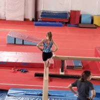 VIP Gymnastics ico