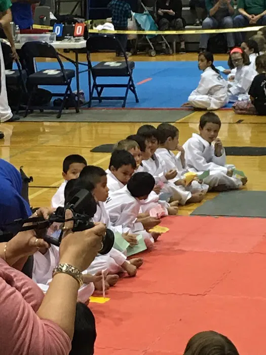 VIP Gymnastics Picture 4