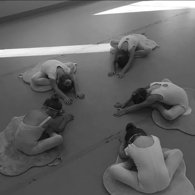Central Texas Youth Ballet Picture 7
