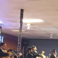 Premier Dance Studio ico