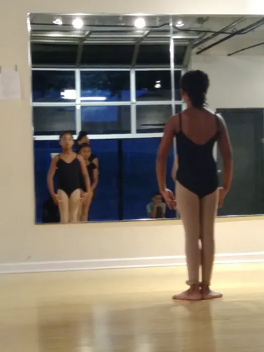 Ballet Afrique Contemporary Dance Picture 1