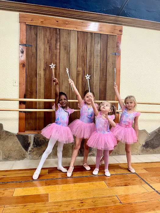 Lago Vista Dance LLC Picture 2