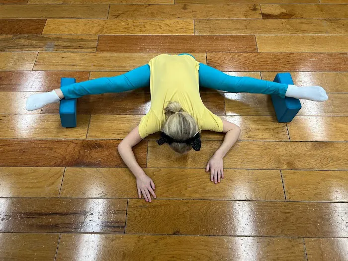 Lago Vista Dance LLC Picture 7