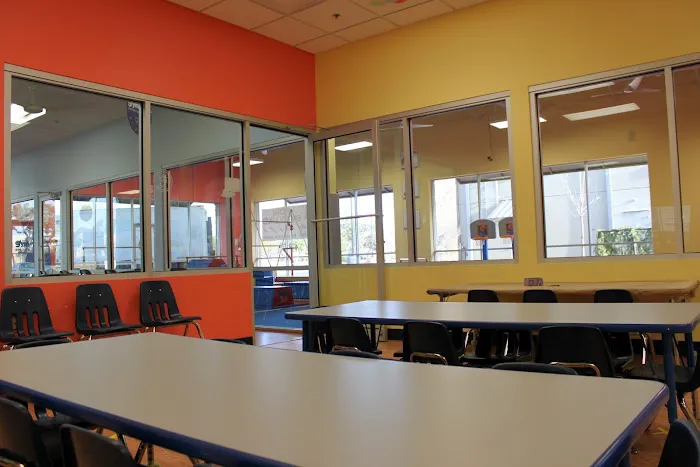 The Little Gym of Austin South Picture 3