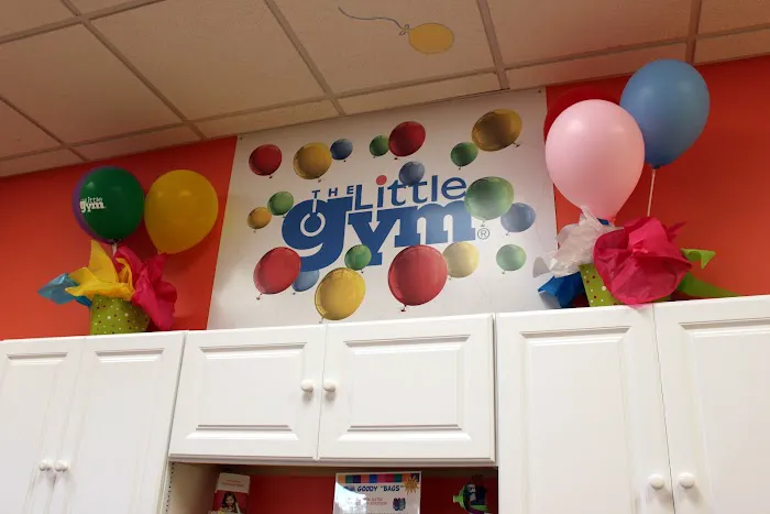 The Little Gym of Austin South Picture 7