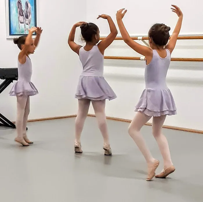 DANZA, Center for the Arts Picture 5